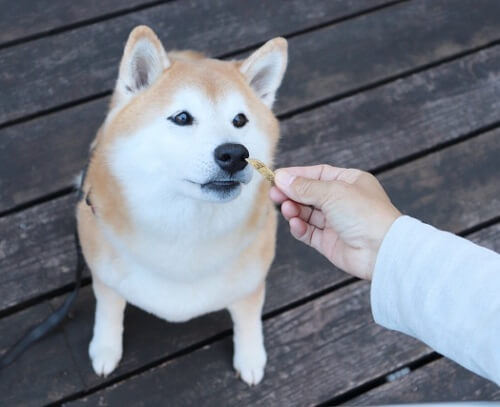 2890830_s.jpg