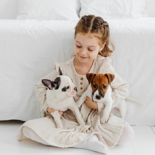 子犬を抱く女の子の写真.jpg