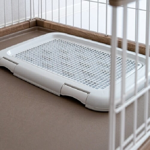 犬のゲージとトイレの写真.jpg