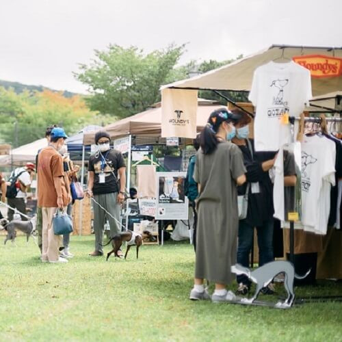 犬の屋外イベントの写真.jpg