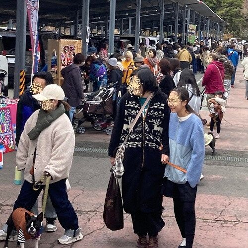 はなぺちゃフェスティバルでお買い物を楽しみご来場者の写真１.jpg