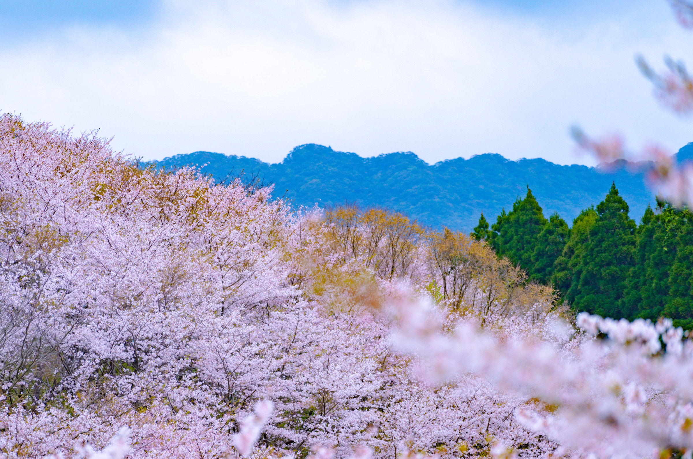 花立神社（北郷町）