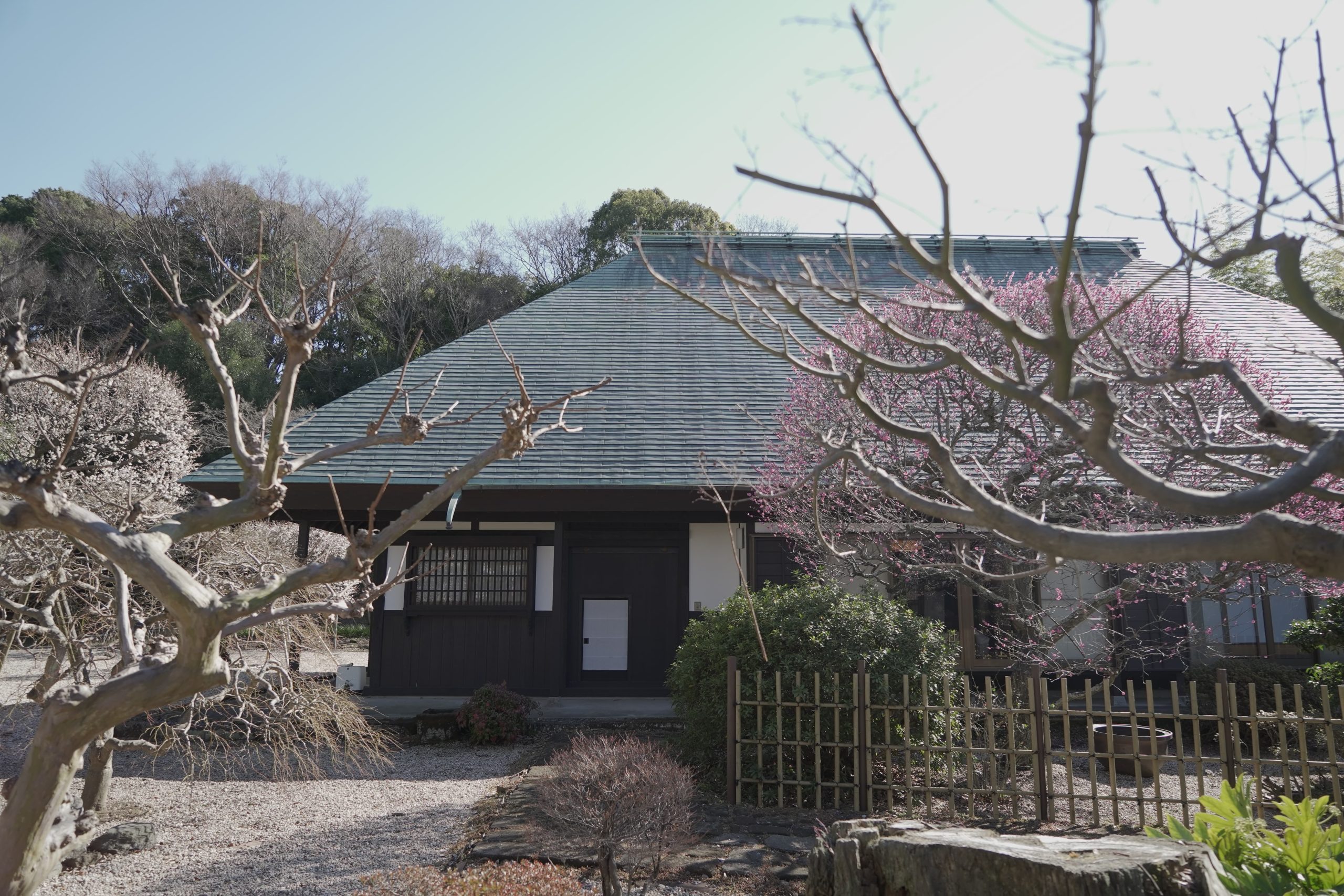 わかちあいサロン