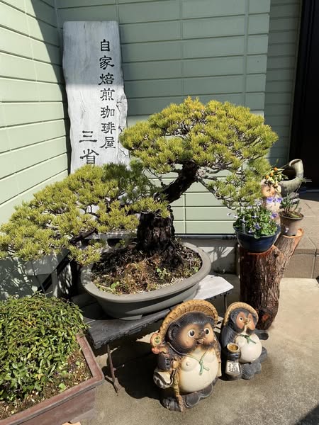 シュタイナー『霊視と霊聴』勉強会
