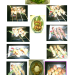 焼き物.png