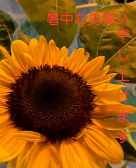 アトリエ夏季休業のお知らせ