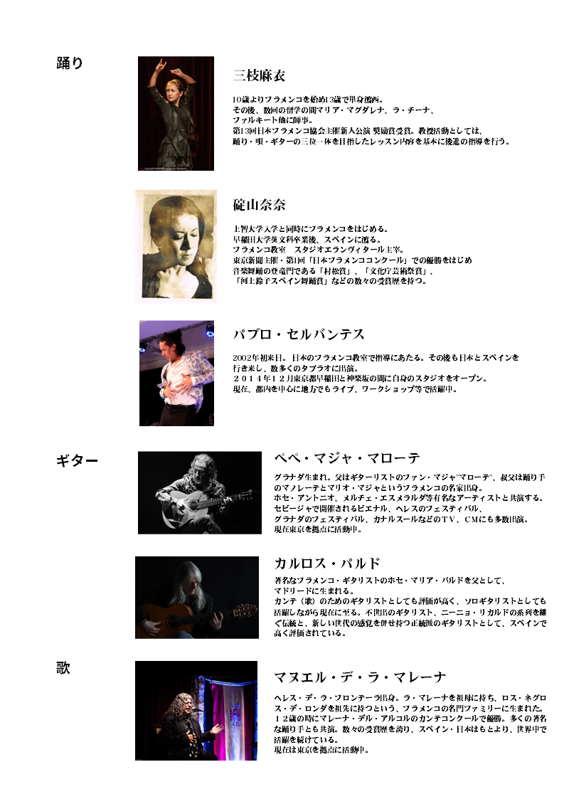 アルティスタ紹介.png