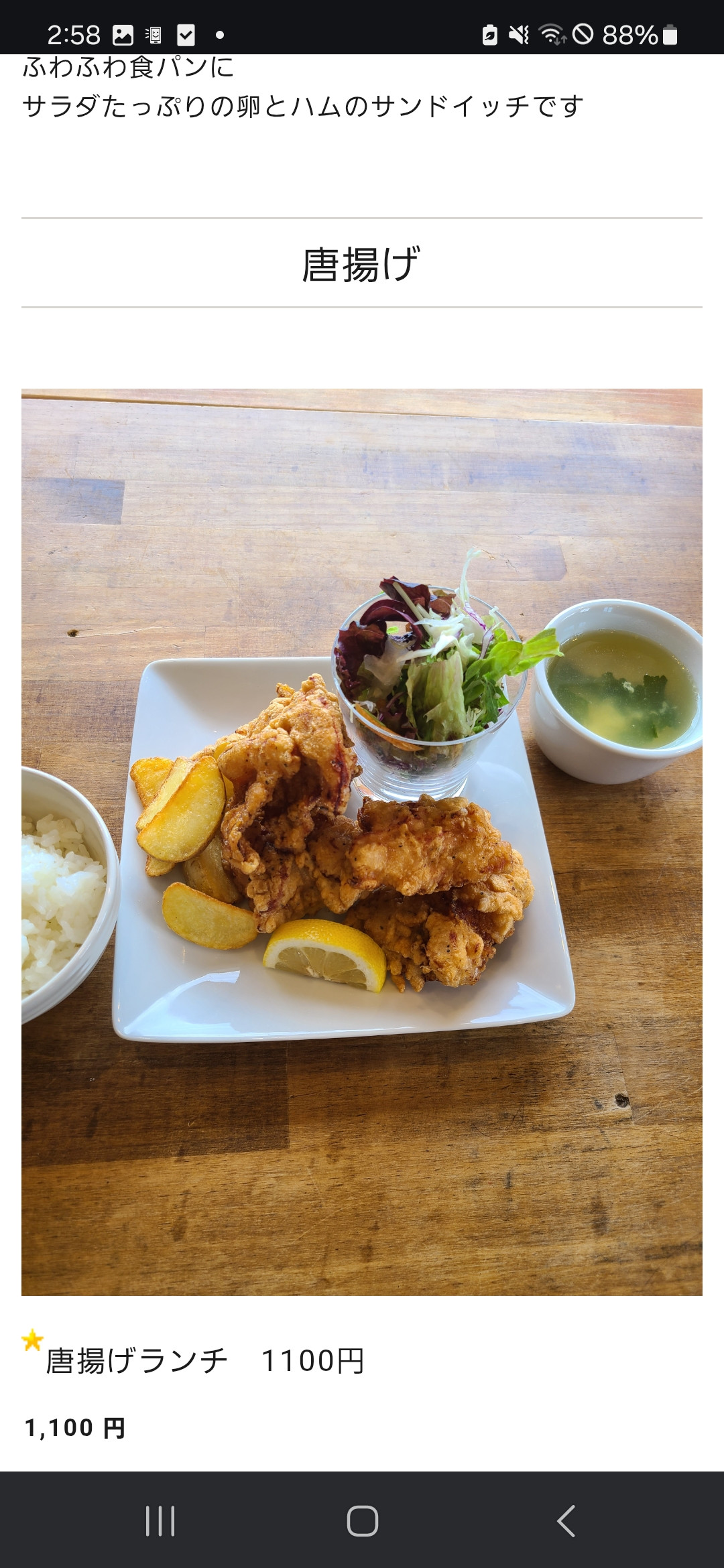 唐揚げランチ