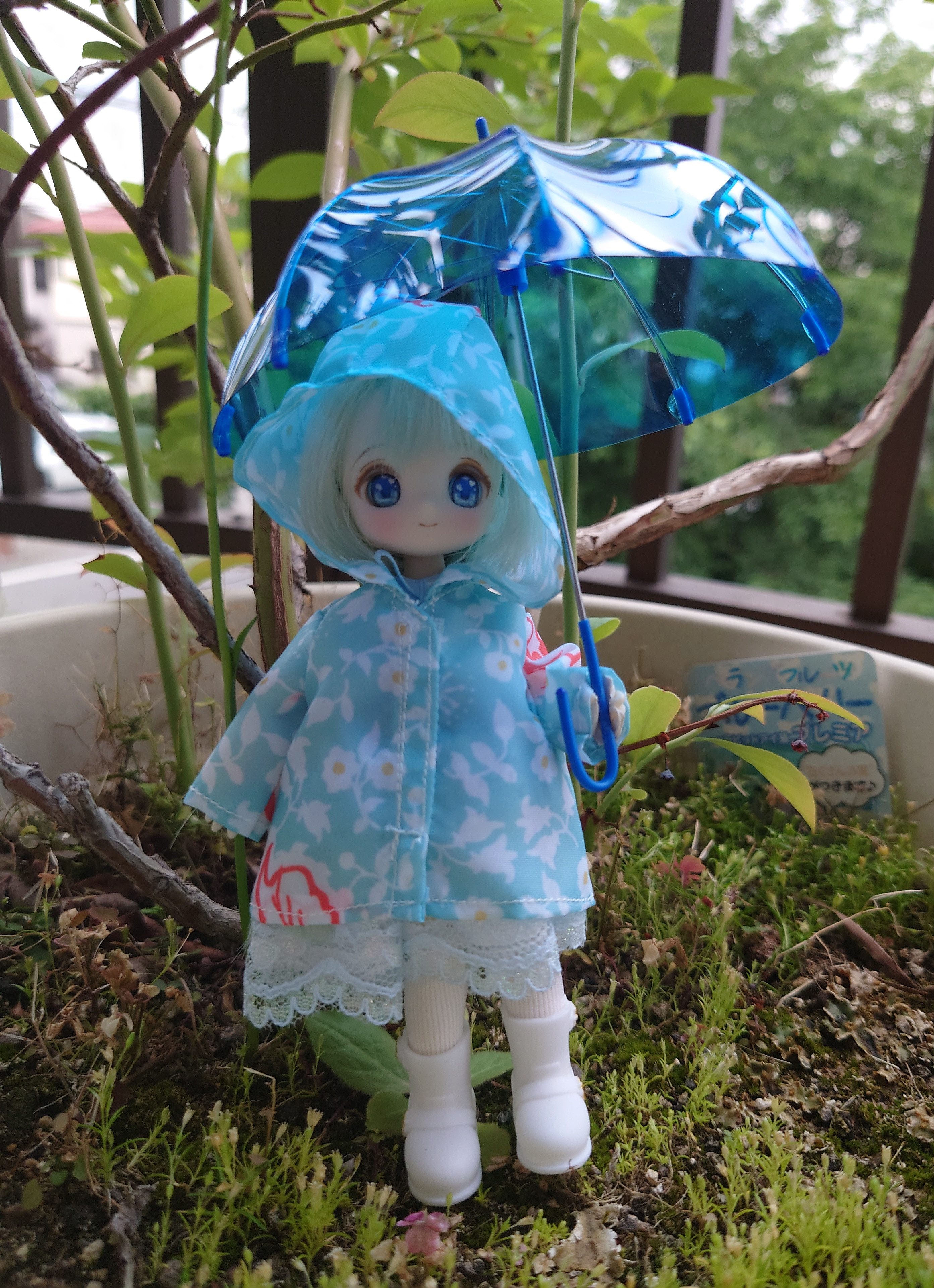 新作と再販のお知らせ