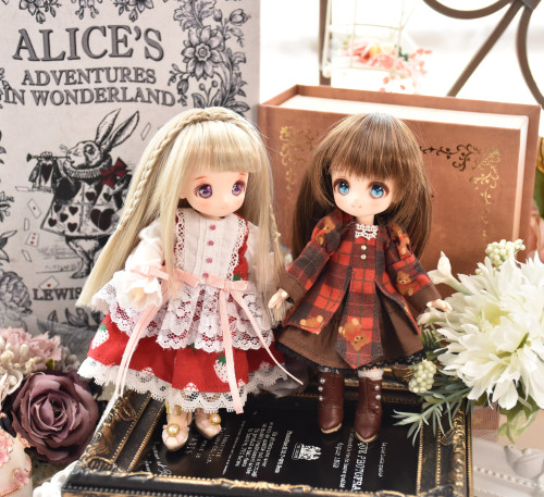 企画展に参加します✨