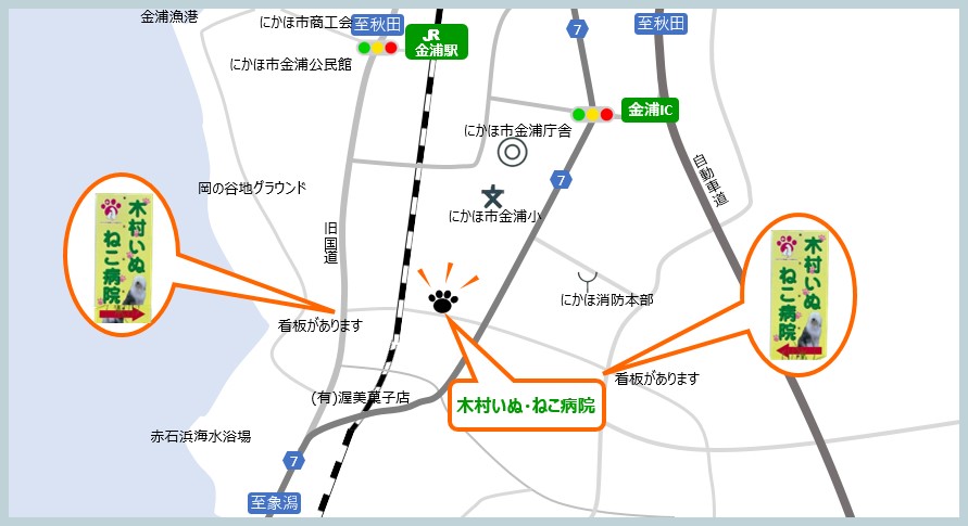 木村いぬねこ病院案内マップ.jpg
