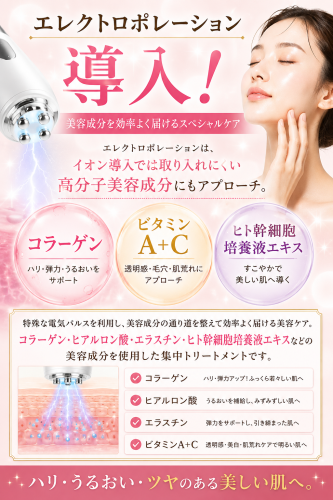 エレクトロポレーション