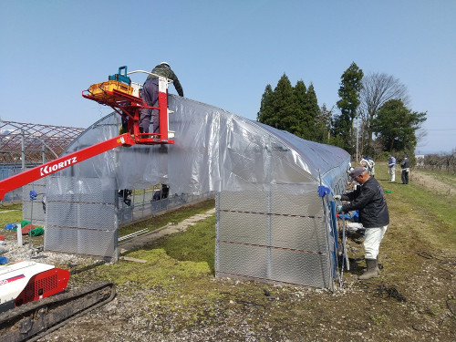 育苗用ビニールハウス設営