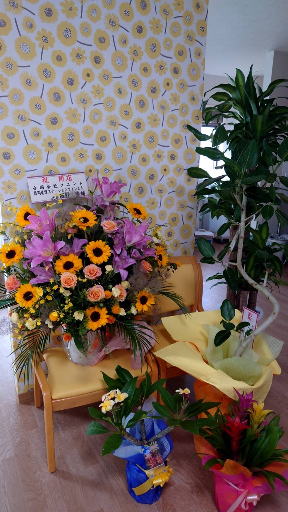 お祝いのお花ありがとうございます！ no2