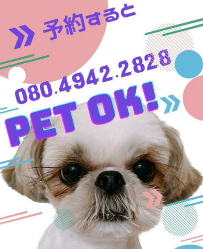 ペット同伴が可能 になりました🐾