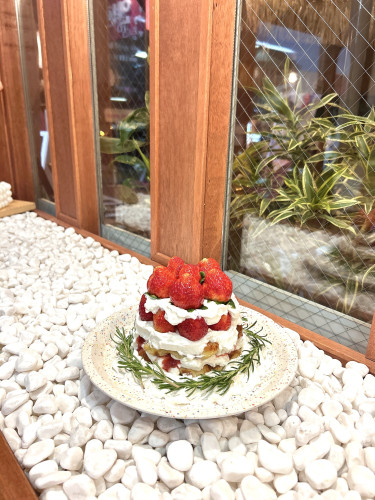  季節のフルーツでお作りする限定ケーキのご予約を開始しました。