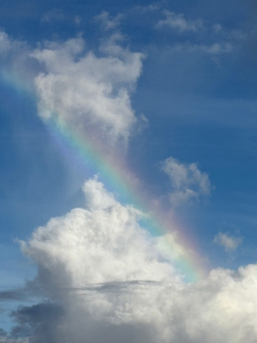 rainbow.jpg
