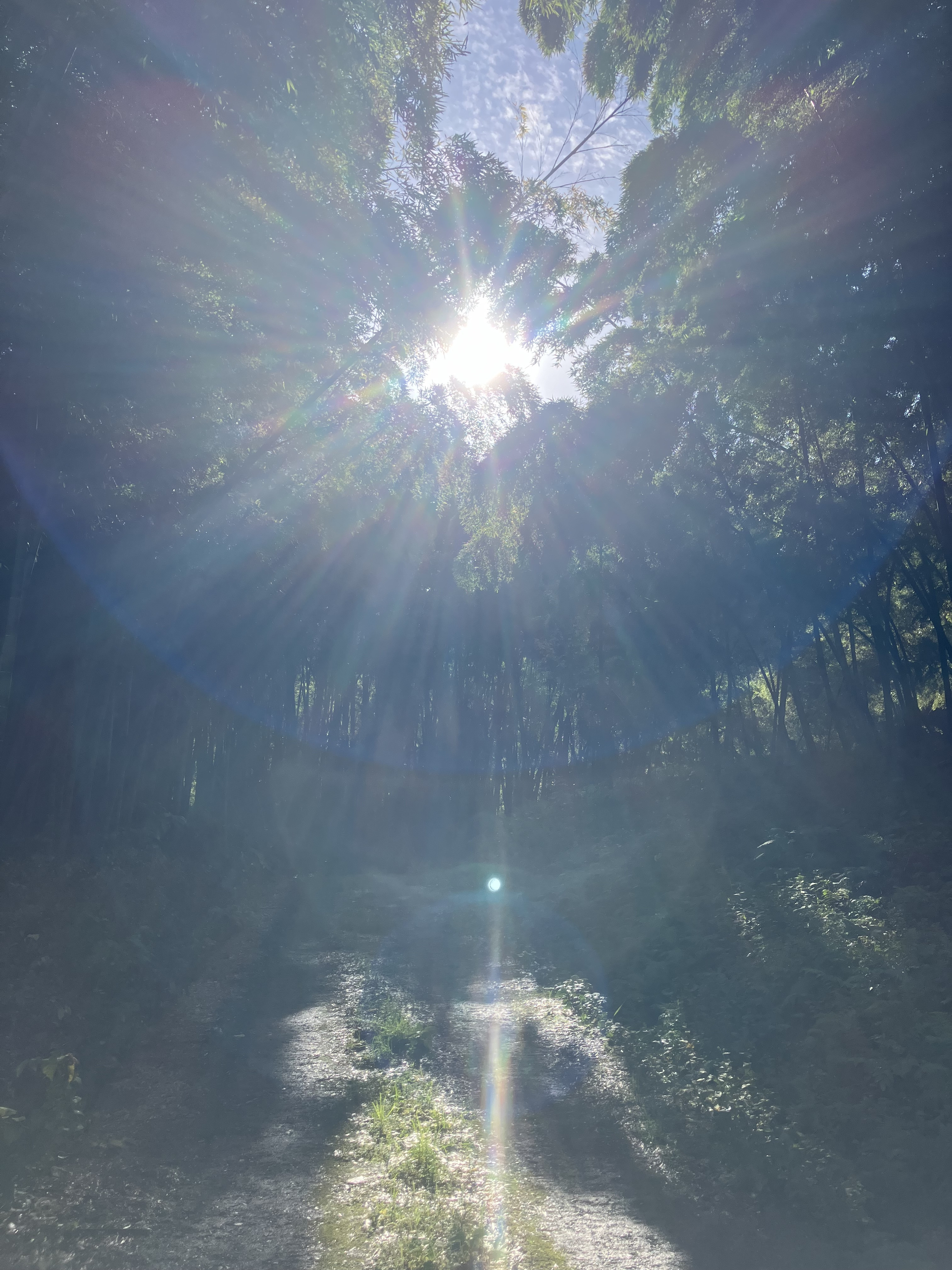 整体講習　生徒さんの声　