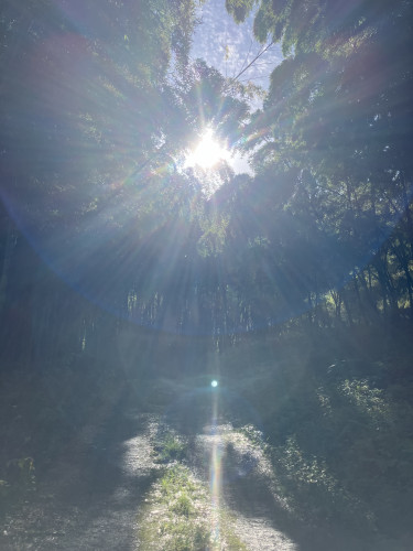 整体講習　生徒さんの声　