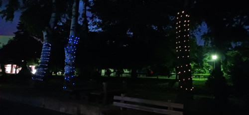 20250805_192951.jpg