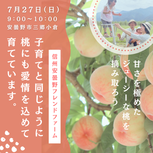 熟した桃を手で摘み取ろう