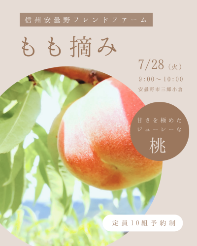 ごはん会　バナー.png