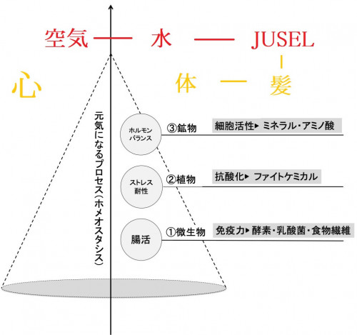 元気になるプロセス2021.jpg