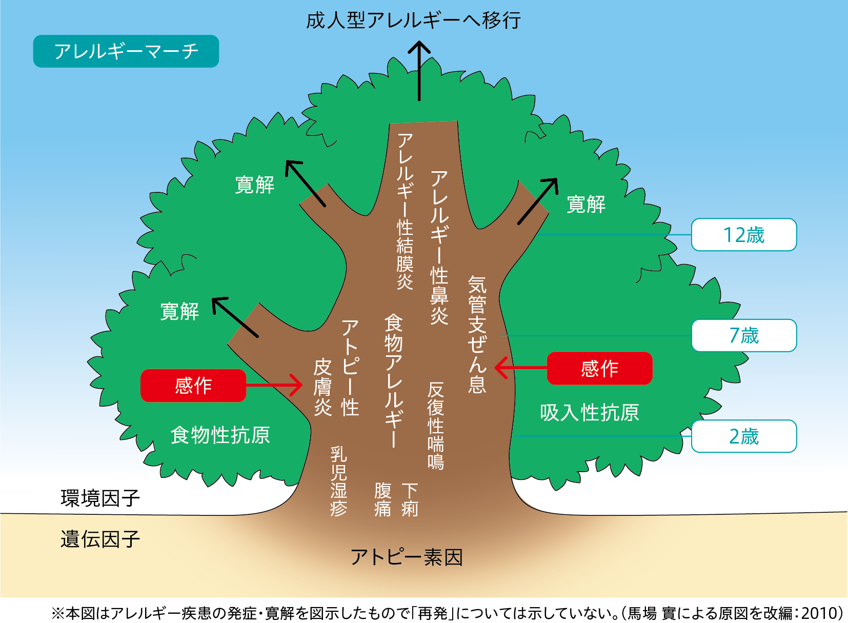 自然力から自然治癒力を高める