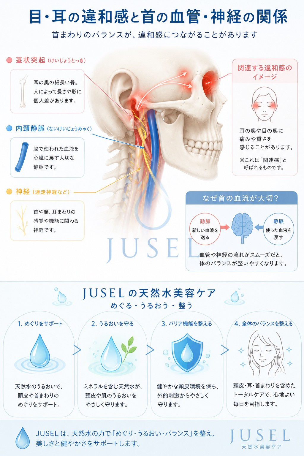 耳・自律神経と血流の関係図解 &mdash; JUSEL天然水美容サロン