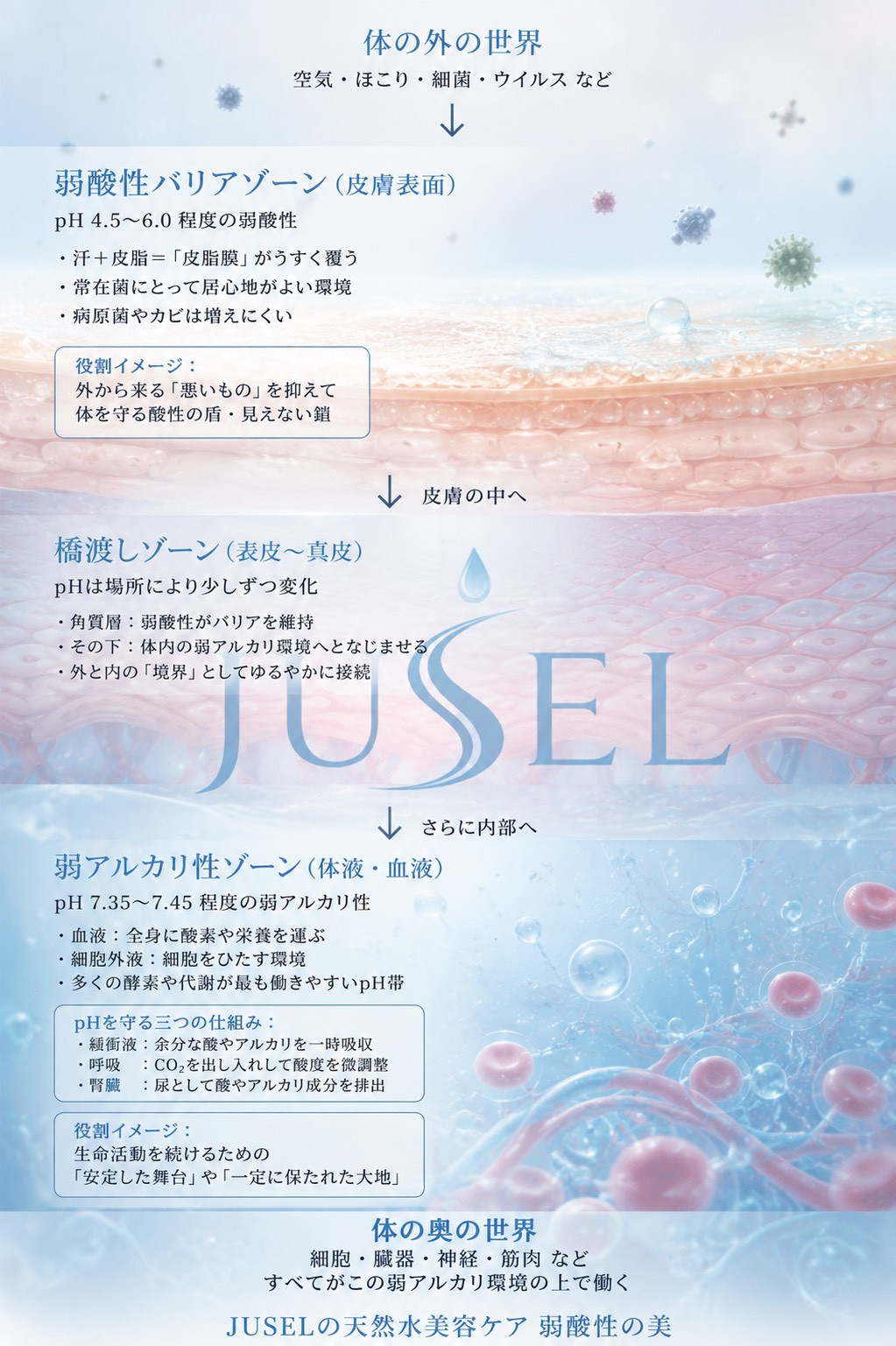 S__421601285.jpg