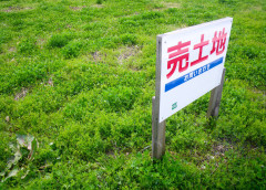 土地.jpg