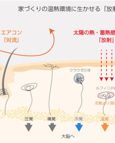 D9BF9C9A-8B26-4B29-8F83-8FA334EB0110.jpg