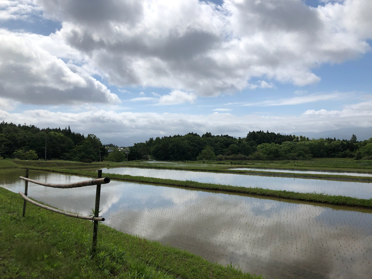 農薬や化学肥料を使わずに、