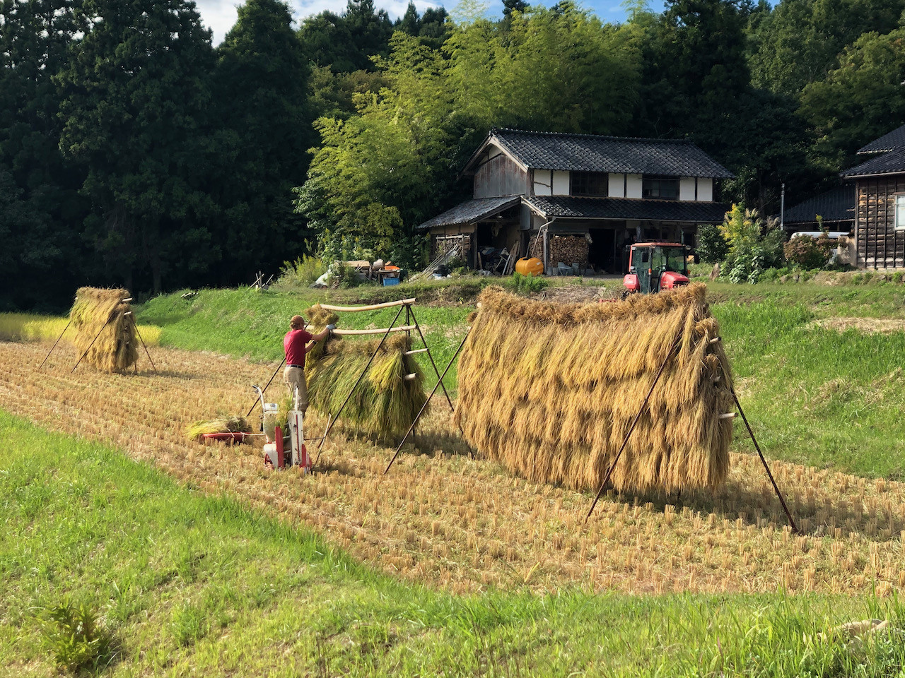 米づくりをしています。