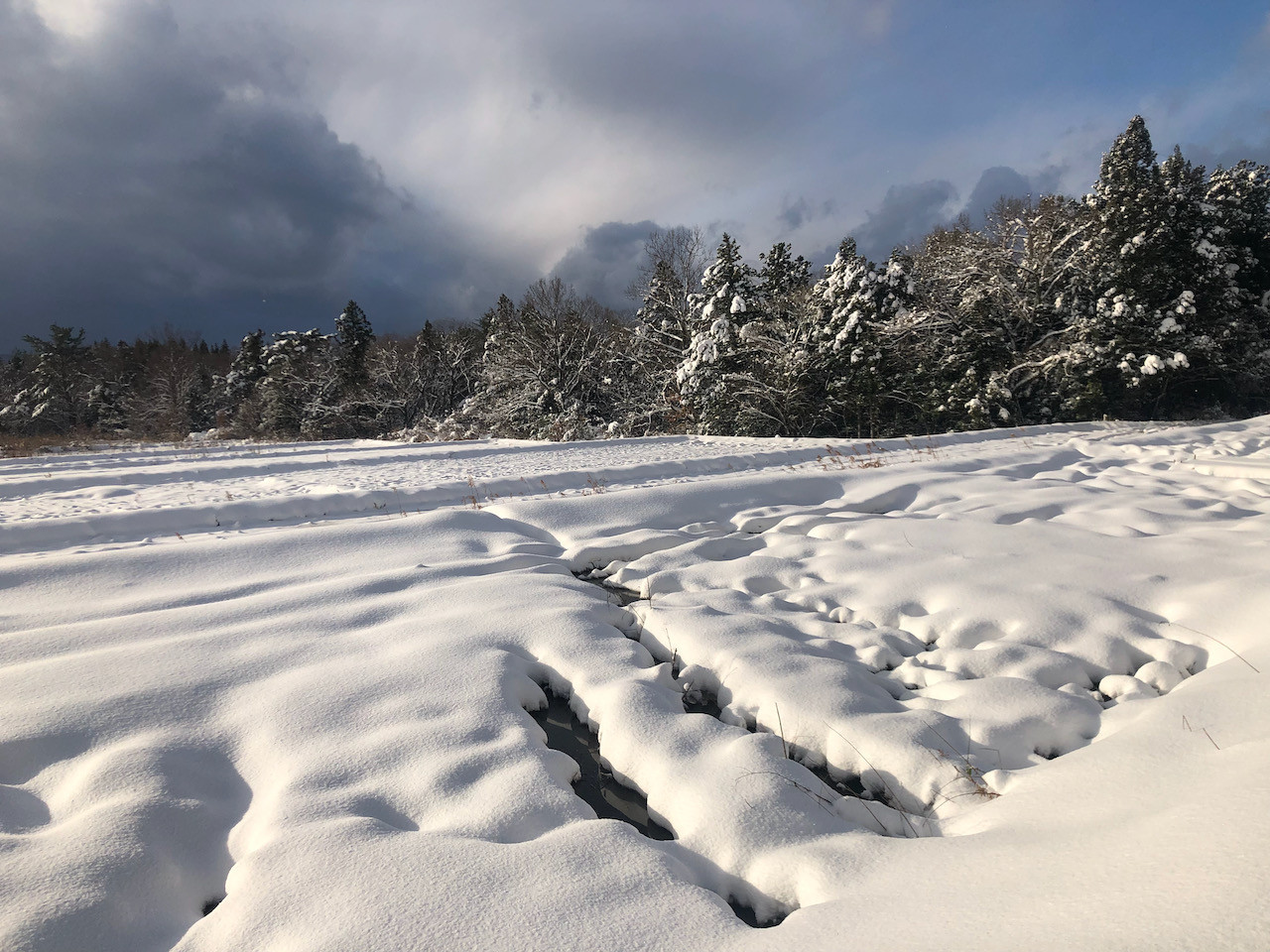 冬は雪が積もり、