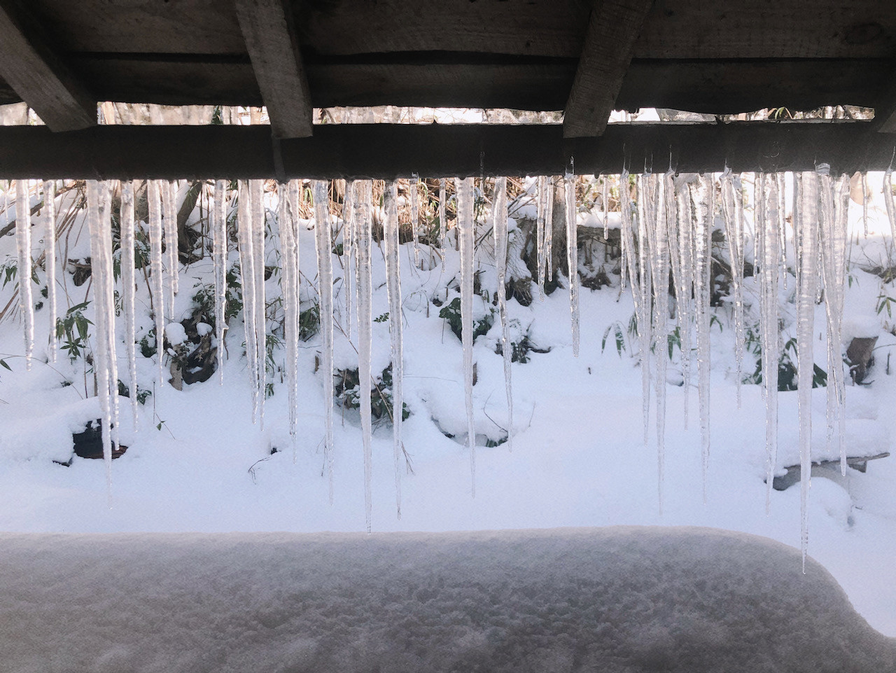 厳しい寒さです。