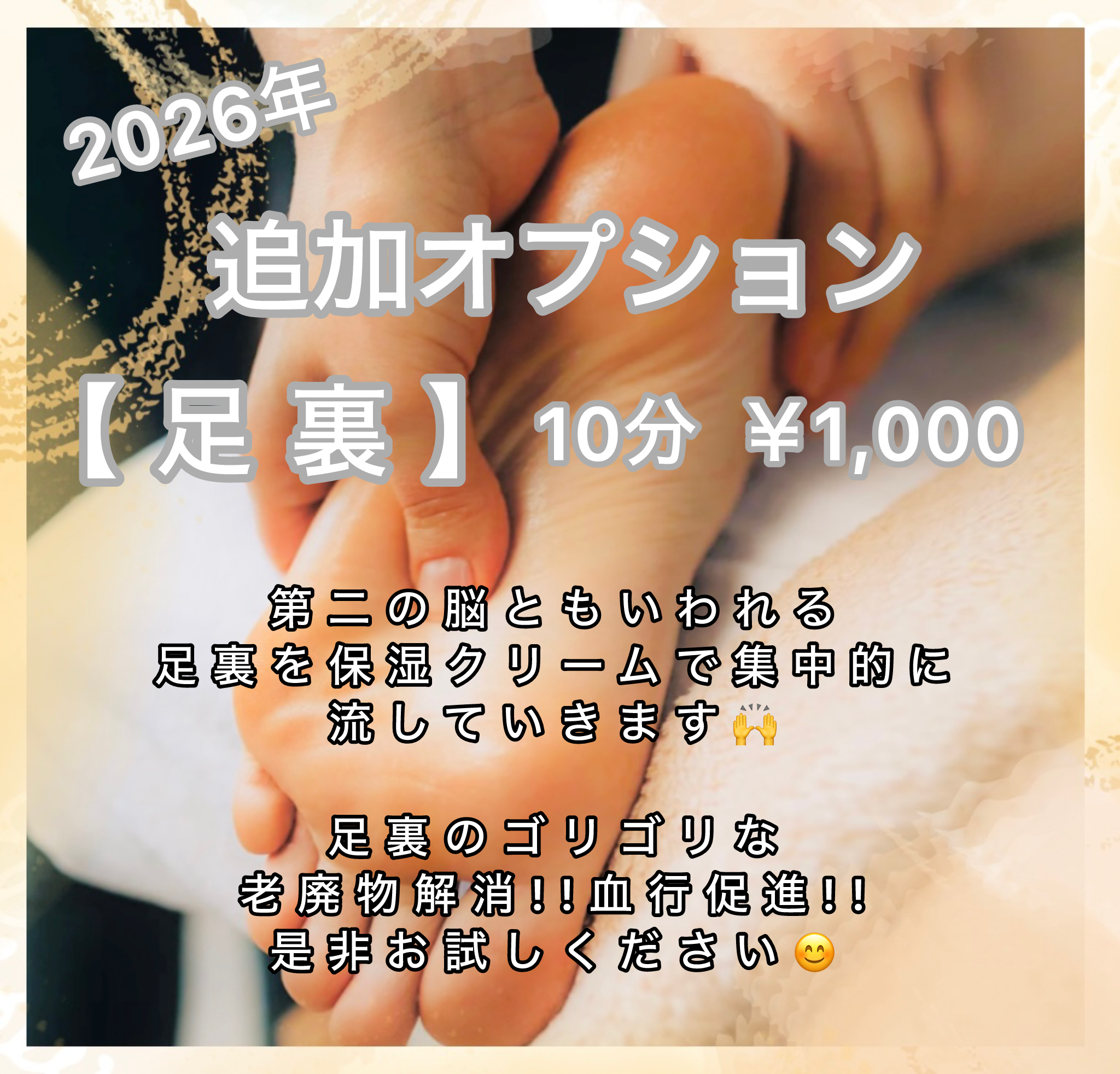 【新・追加オプション🌿】
