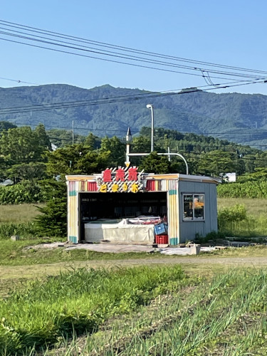 IMG_7552.jpeg