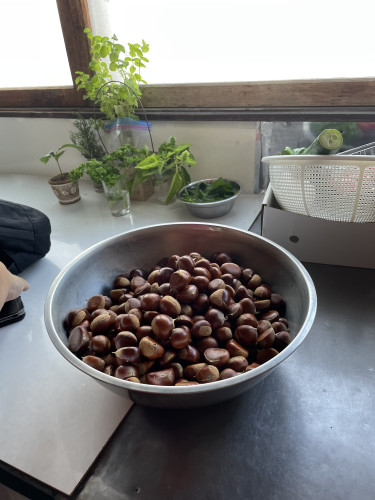 28B62EA5-6D5E-4763-BA77-EE2E21839B90.jpeg