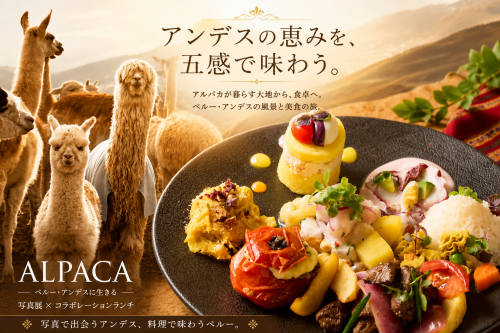 写真展「ALPACA ― ペルー・アンデスに生きる ―」コラボランチ開催