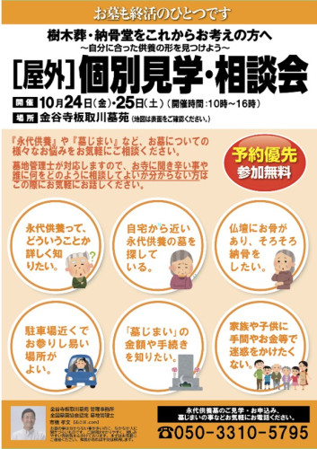 251018金谷寺裏.jpg
