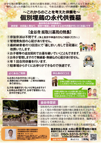 260517金谷寺裏.jpg