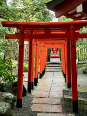 IMG_2394.jpeg