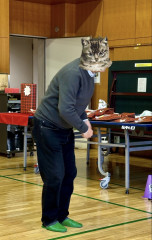 IMG_9271.jpeg