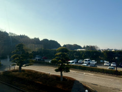 IMG_9469.jpeg