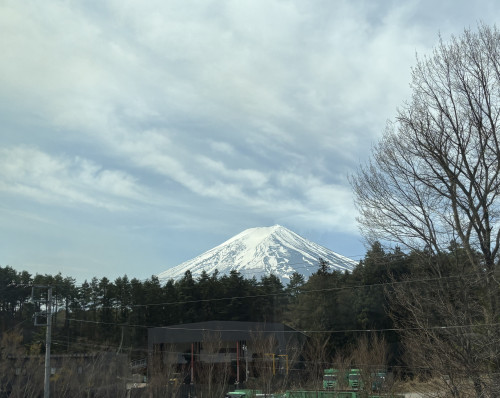 IMG_0284.jpeg