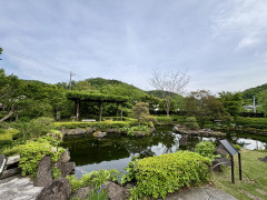 IMG_0763.jpeg