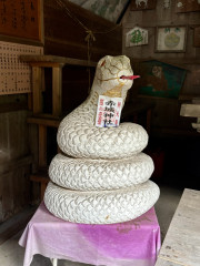 IMG_2394.jpeg