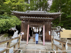 IMG_2395.jpeg