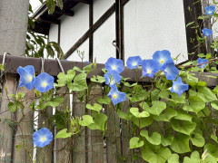 IMG_2476.jpeg